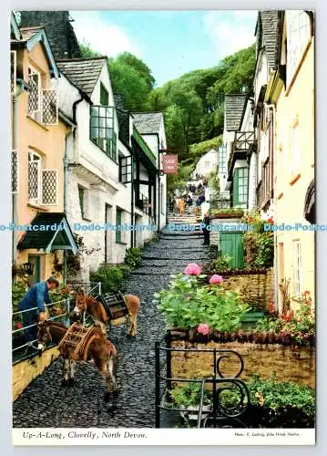 D337140 North Devon. Clovelly. eine lange hoch. John Hinde. E. Ludwig