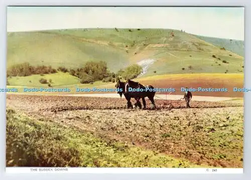 D337143 The Sussex Downs. Richter. C. 241