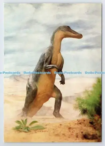 D339098 Trachodon. Ein pflanzenfressender Dinosaurier. Saftvale. Colin Richardson Drucker