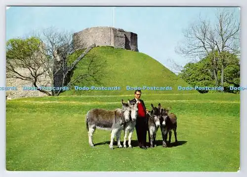 D337150 Isle of Wight. Carisbrooke Castle. Die Esel. Mit Keep in Background.