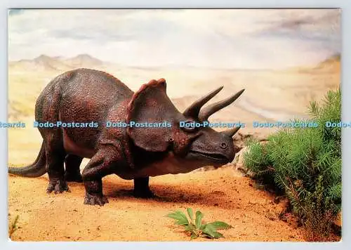 D339100 Triceratops. Saftvale. Colin Richardson Drucker