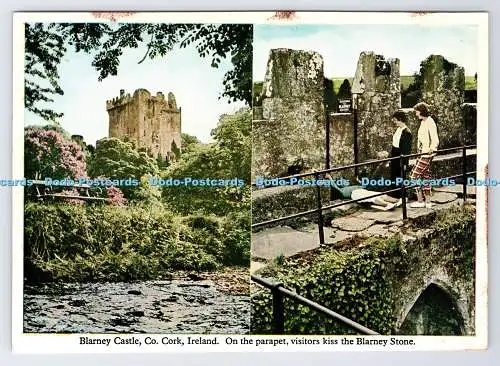 D339117 Irland. Blarney Castle. Co. Kork. Auf der Brüstung küssen Besucher die Blar