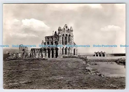 D337172 Yorkshire. Whitby Abbey. Gesamtansicht vom Werksministerium von S.E.. Krähe