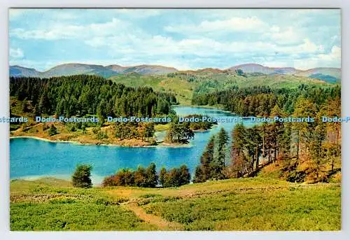 D339128 Tarn Hows. H. Webster. Helvellyn House. Keswick