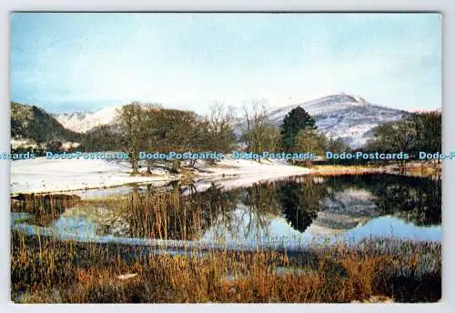 D337178 Windermere unterhalb von Brathay Hall. J. Arthur Dixon. Newport. I.W. England.