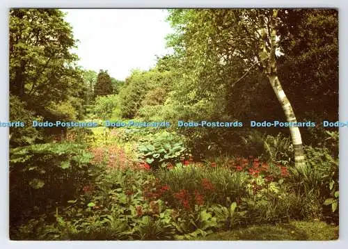 D339131 Westonbirt. Der Firstgarten. Hidcote Manor Gardens. J. Arthur Dixon. Pe