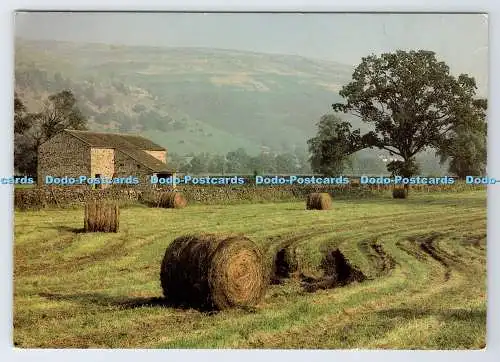 D339132 Erntezeit nahe Buckden. Dalescape Karten. David Green