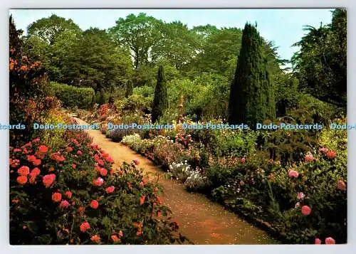 D339149 Hidcote Manor Gardens. The Old Rose Walk. J. Arthur Dixon