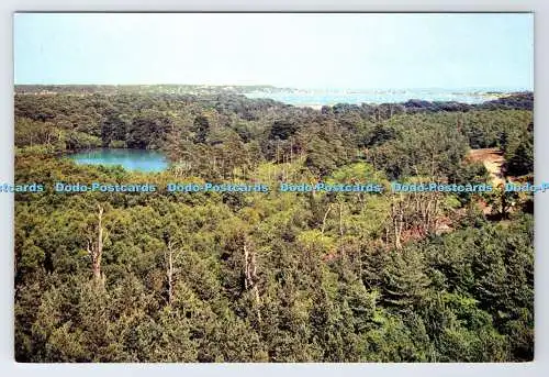 D337197 Brownsea Island. J. Arthur Dixon. Newport. I.W. England