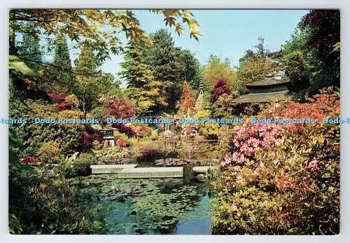 D337198 Bournemouth. Compton Acres. Der japanische Garten. J. Radierungen. Henbest