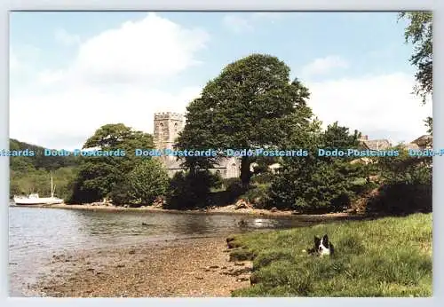 D339169 Cornwall. Kirche St. Winnow. Eine kornische Fotokarte. Frances Stephens