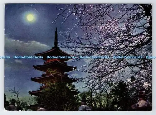 D339192 Der berühmte Ort in Tokio. Blick auf den fünfstöckigen Turm von Tosho Shri