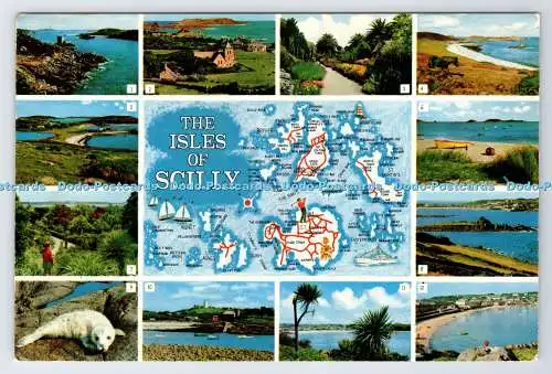 D337246 Die Scilly-Inseln. Papageientaucher. F. E. Gibson. Serie Naturfarben. PM. St