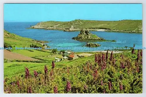 D339204 Bryher. Scilly. Von Norrad. F. E. Gibson. Serie Naturfarben. Die Co