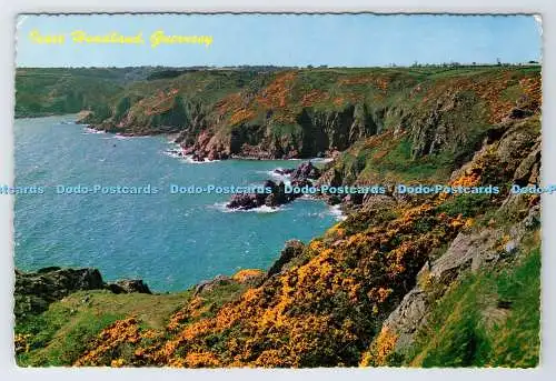 D337248 Guernsey. Icart Headland. Guernsey Großhandel. Der fotografische Gruß