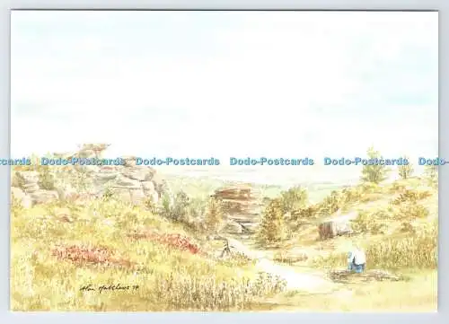 D339208 Brimham Rocks. Alan Matthews. North Light Studio. Galerie