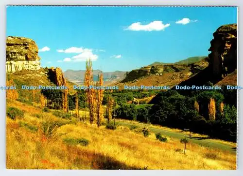 D337253 Golden Gate. Orange Freistaat. Kunstverlag. B. K. Bjornsen