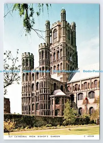 D337262 Ely Cathedral. Aus Bischofsgarten. Richter. C. 4335. X