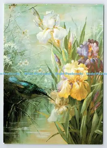 D337267 Iris und Eisvogel. Die Mon Galerie. Old Amersham. Marie Low. Die Med