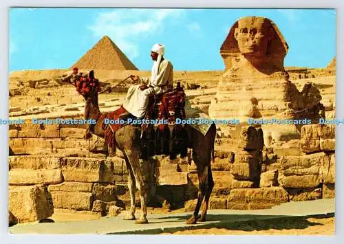 D337303 Gizeh. Die Sphinx und Mt. Kerinos Pyramide. K. Lambelet. Lehnert und Landr