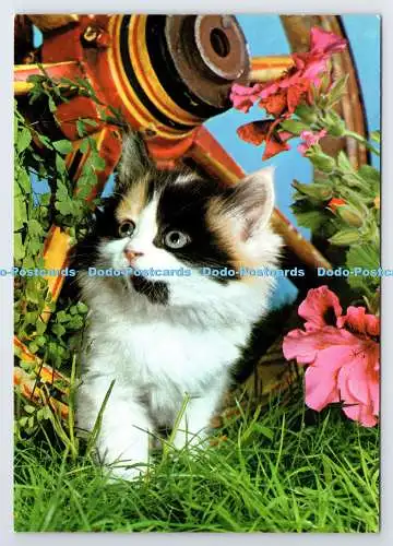 D337310 Kat. John Hinde. Postkarte