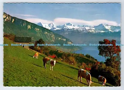 D337333 Sigriswil. Thunersee. Mit Eigermönch und Jungfrau. Fritz Weibel. Arthur