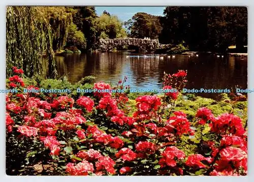 D337376 B.C. Victoria. Beacon Hill Park. Stan V. Wright. Reggie Hibshman. Majes