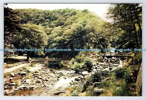 D337414 Watersmeet. Lynmouth. Devon. J. Arthur Dixon. Newport. I.W. England