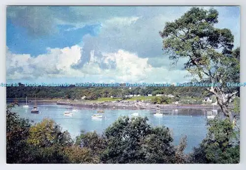 D339391 Lawrenny. Pembrokeshire. J. Arthur Dixon. Newport. I.W. England. G.R.