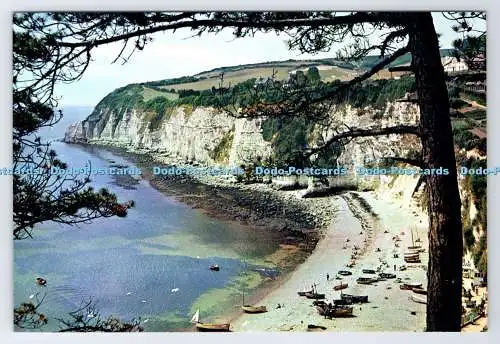 D337426 Devon. Bierkopf. J. Arthur Dixon. Newport. I.W. England