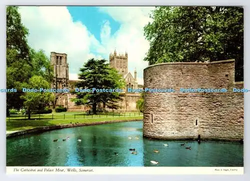 D337434 Somerset. Brunnen. Kathedrale und Palastgraben. John Hinde. E. Nagele