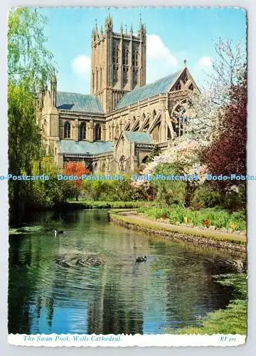 D337436 Wells Cathedral. Der Schwanenpool. Valentine