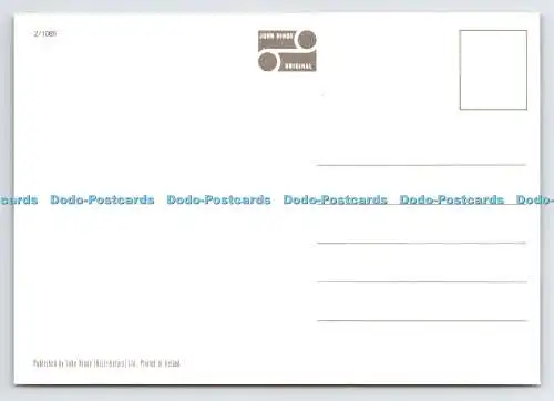 D337499 Junges Eichhörnchen. John Hinde