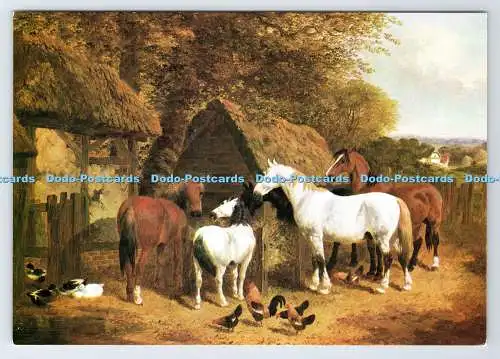 D337531 Pferde und Ponys Fütterung. Frau George Steinberg. J. F. Hering. Die Med