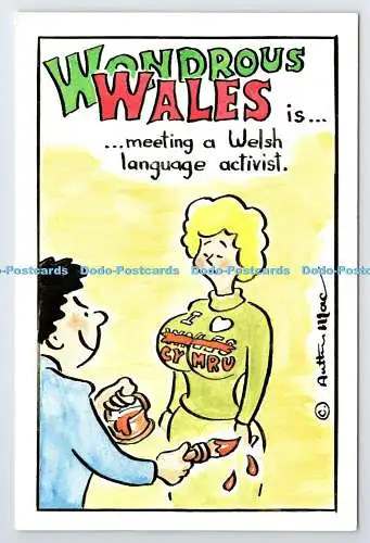 D339506 Wondrous Wales. Cardiff. A. Mac