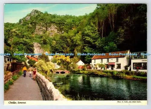 D339507 Cheddar. Somerset. John Hinde. D. Edel