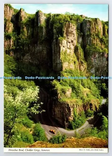 D339509 Somerset. Hufeisenbogen. Cheddar Gorge. John Hinde. D. Edel