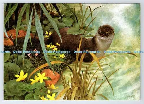 D337546 Otter at Twilight. The Medici Society. London. Kenneth Lilly