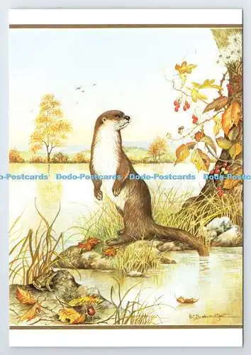 D337550 Otter. The Medici Society. London. Helen Babington