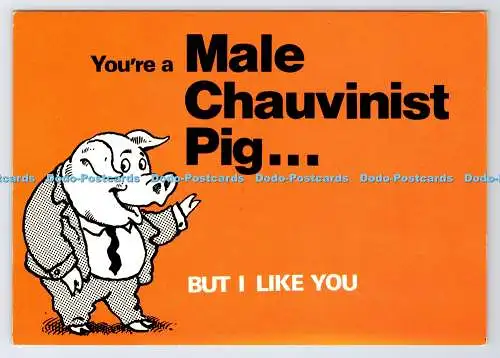 D339523 Sie sind ein männliches chauvinistisches Schwein. Fotopräzision