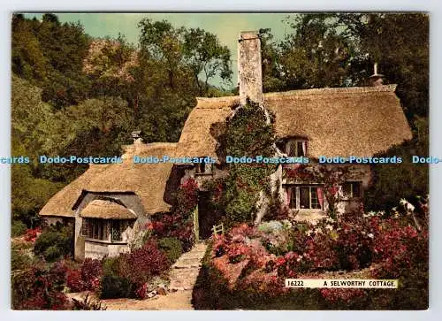 D339533 A Selworthy Cottage. Harvey Barton