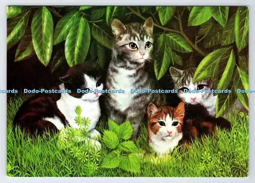 D337567 Die vier Schwestern. Katzen. The Medici Society. London. Jo Varney