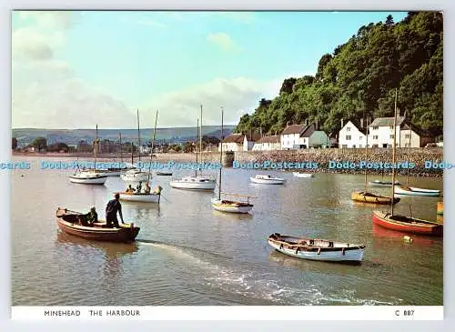 D339543 Minehead. Der Hafen. Richter. C. 887