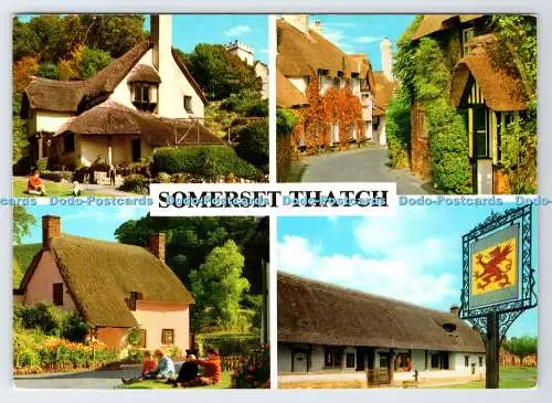 D339551 Somerset-Hecker. St. Margaret Hospital. Taunton. John Hinde. Multi View
