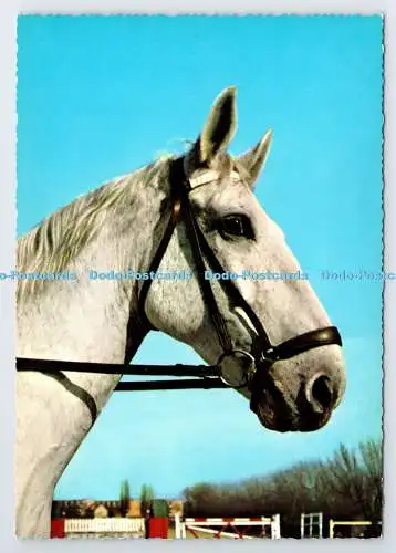 D337581 Pferd. Krüger. Made in Western Germany