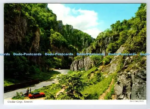 D339556 Somerset. Cheddar Gorge. John Hinde. E. Nagele