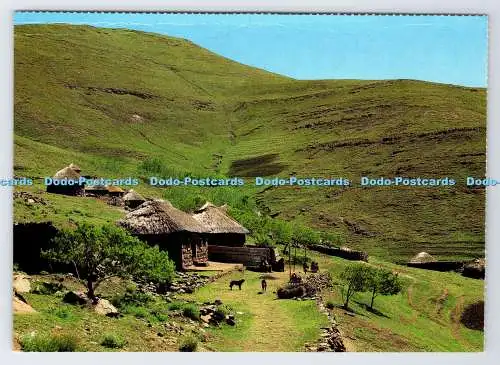 D337604 Südliches Afrika. Lesotho. Kunstverlag. John Hone