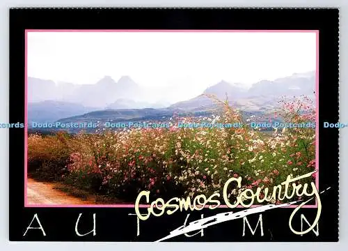 D337605 Drakensberg. Kosmosland. Herbst. Kunstverlag. John Hone