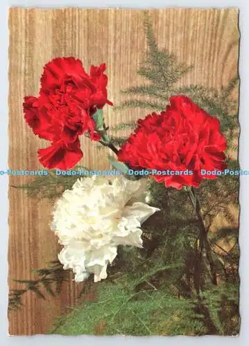 D339581 Blumen. Krüger. Postkarte