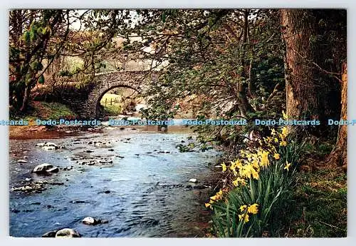 D339583 Malmsmead. Devon. Doone Valley. J. Arthur Dixon. Newport. I.W. England